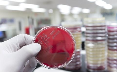 mrsa
